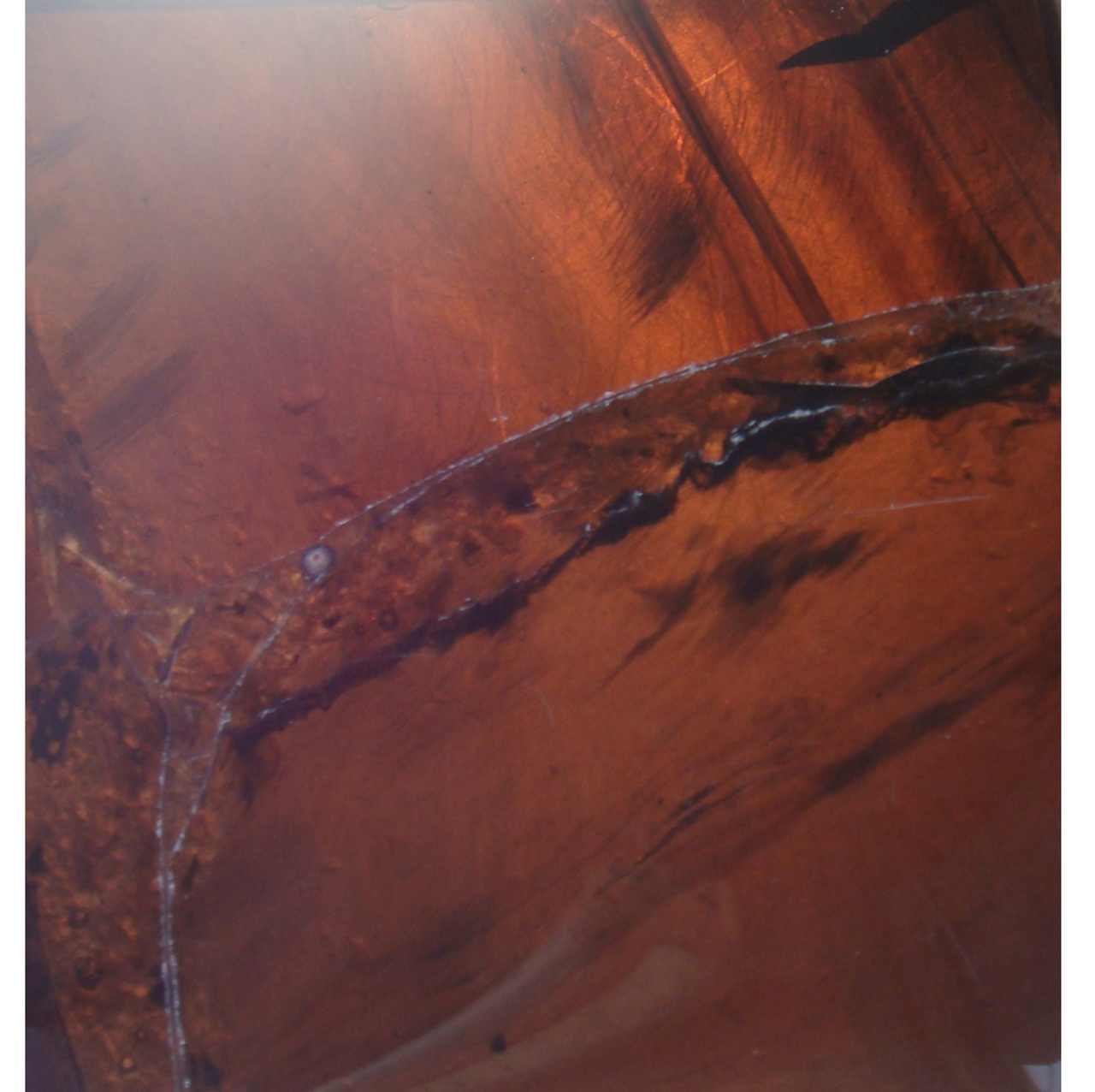 naturalstone_gemstone_residentialdesign_decorative_bathroom_tobuild_weltstein